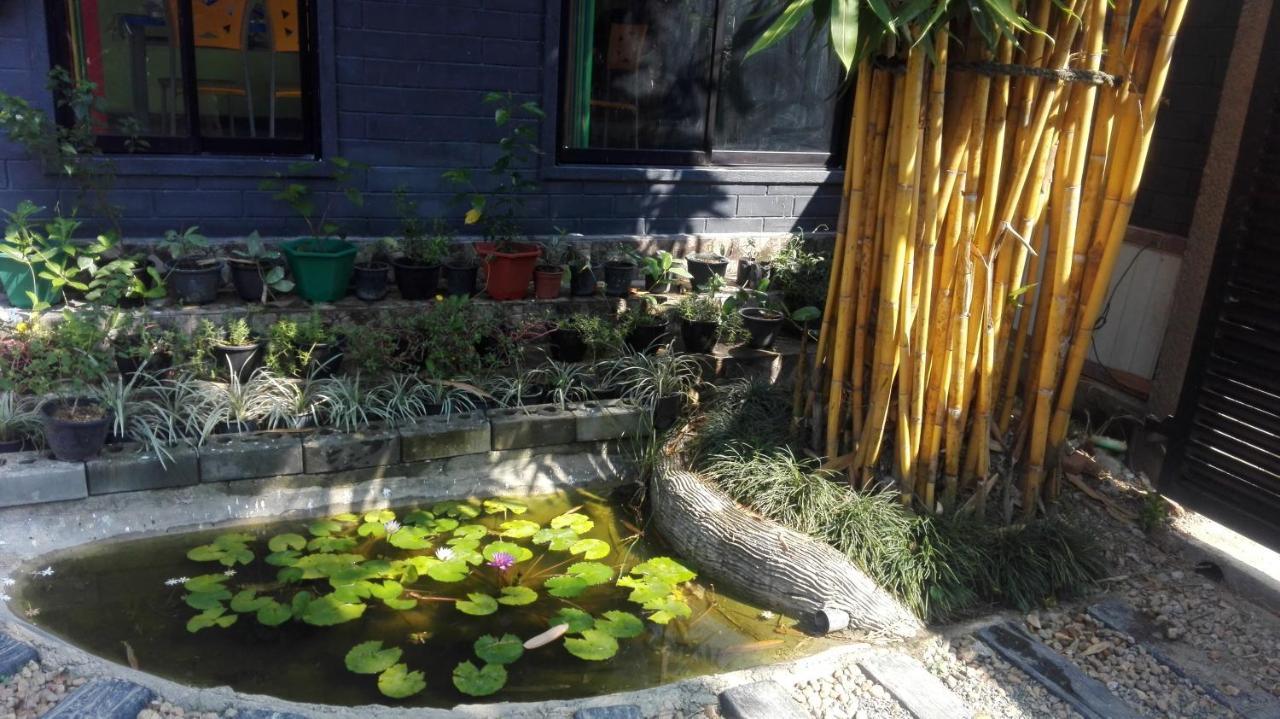 Ferienwohnung Mango Roots Gampaha Exterior foto