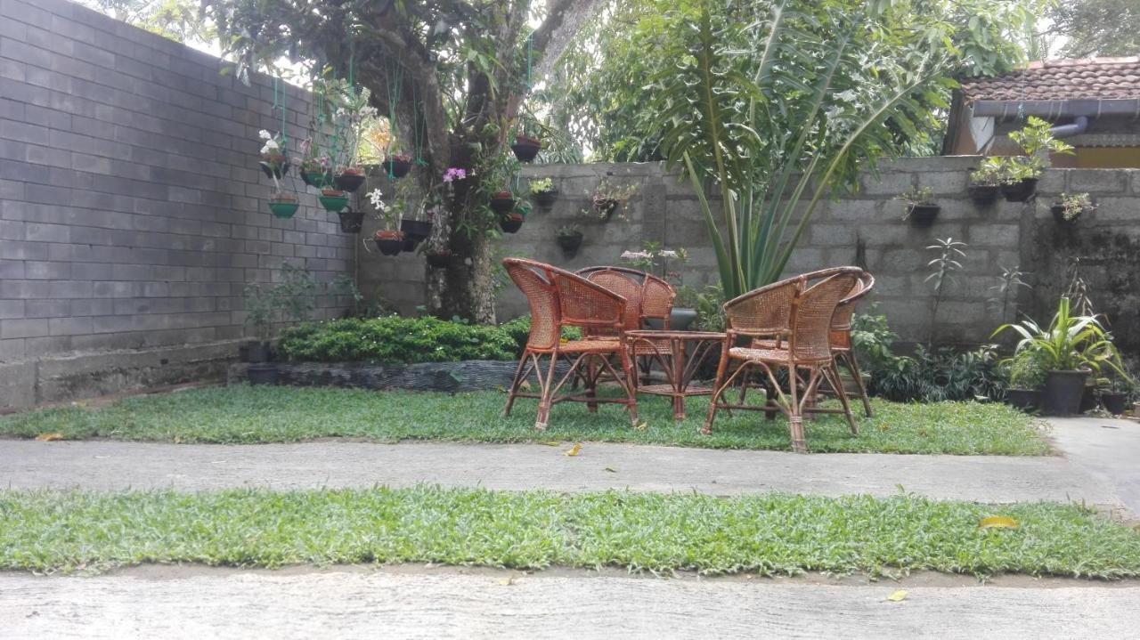 Ferienwohnung Mango Roots Gampaha Exterior foto