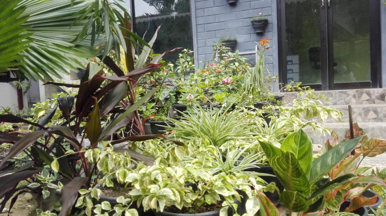 Ferienwohnung Mango Roots Gampaha Exterior foto