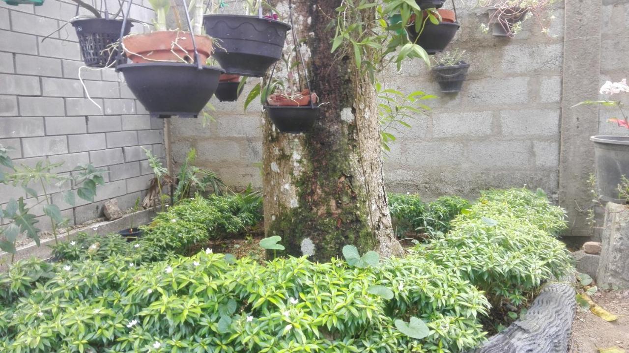 Ferienwohnung Mango Roots Gampaha Exterior foto